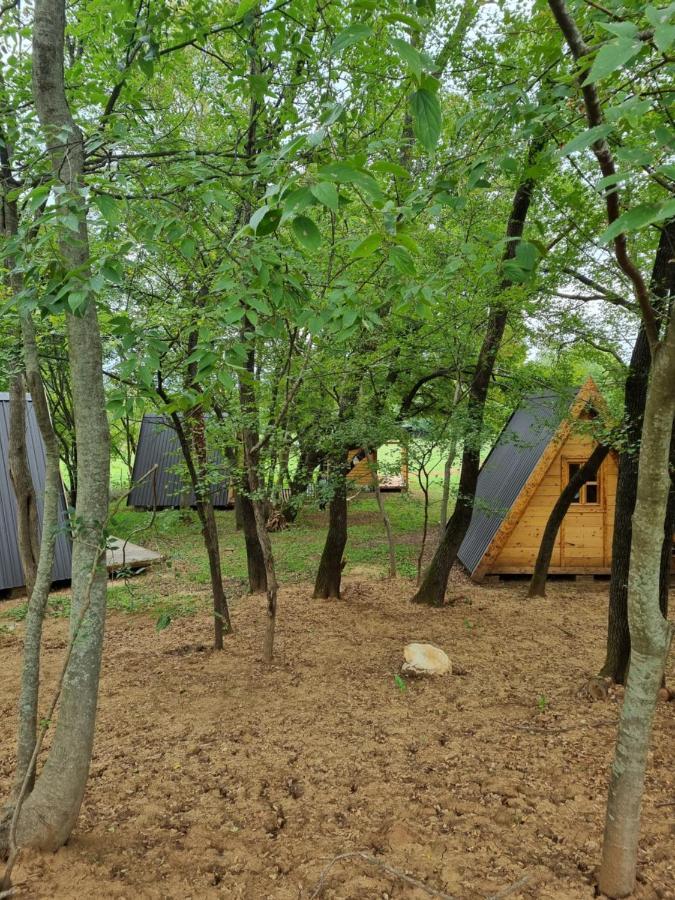 Wolf & Sheep Nature & Adventure Podgorica Exteriér fotografie