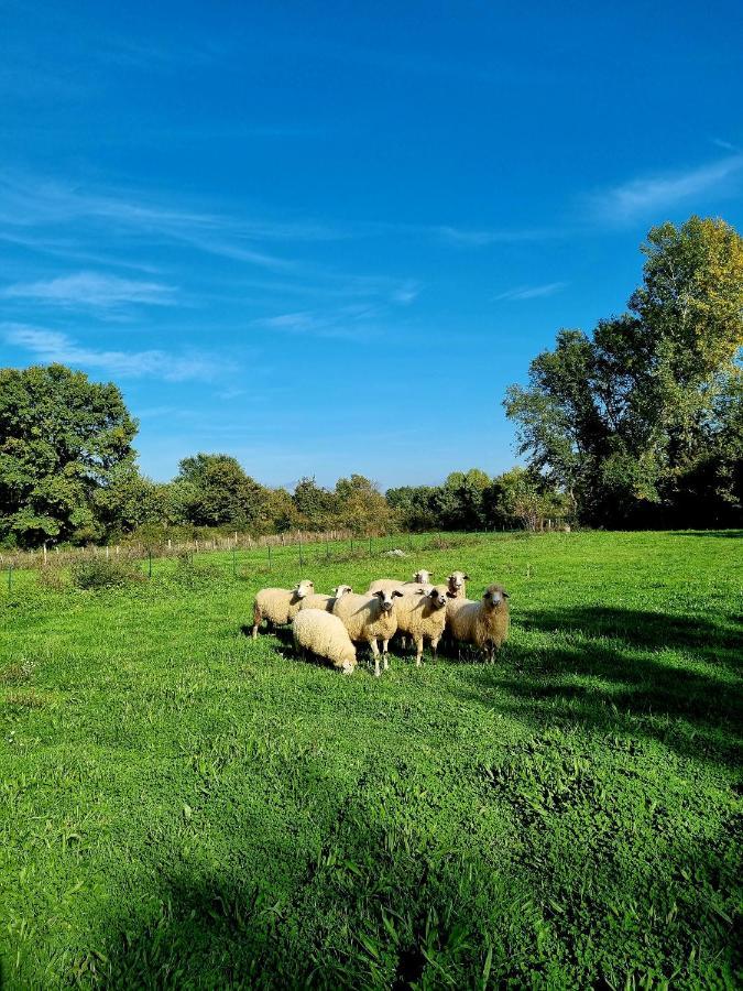 Wolf & Sheep Nature & Adventure Podgorica Exteriér fotografie